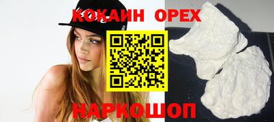 гашик Кунгур