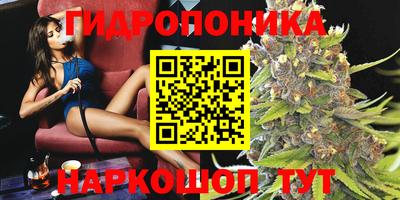 гашик Кунгур