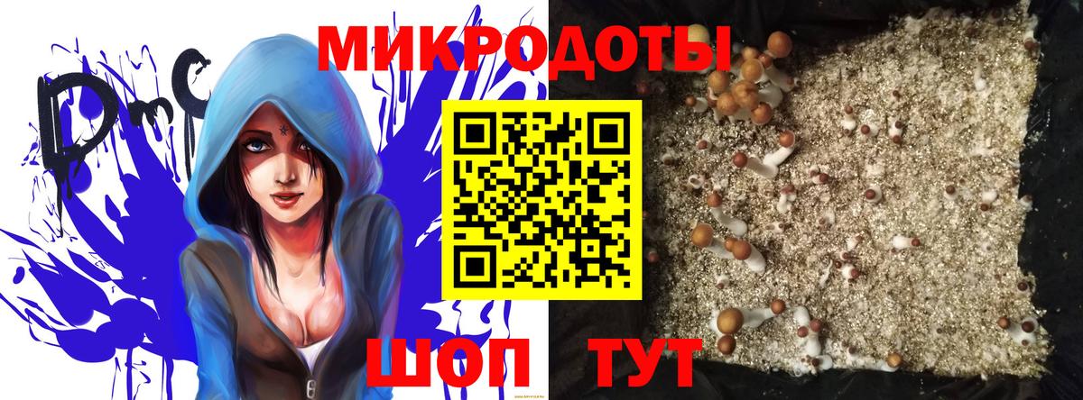 Кинель  закладка  Псилоцибиновые грибы мицелий  Вход с VPN  Галлюциногенные грибы мухоморы 