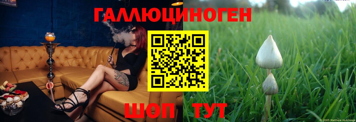 Псилоцибиновые грибы прущие грибы Кинель