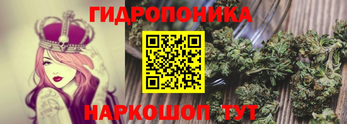 МАРИХУАНА ГИДРОПОН Кинель